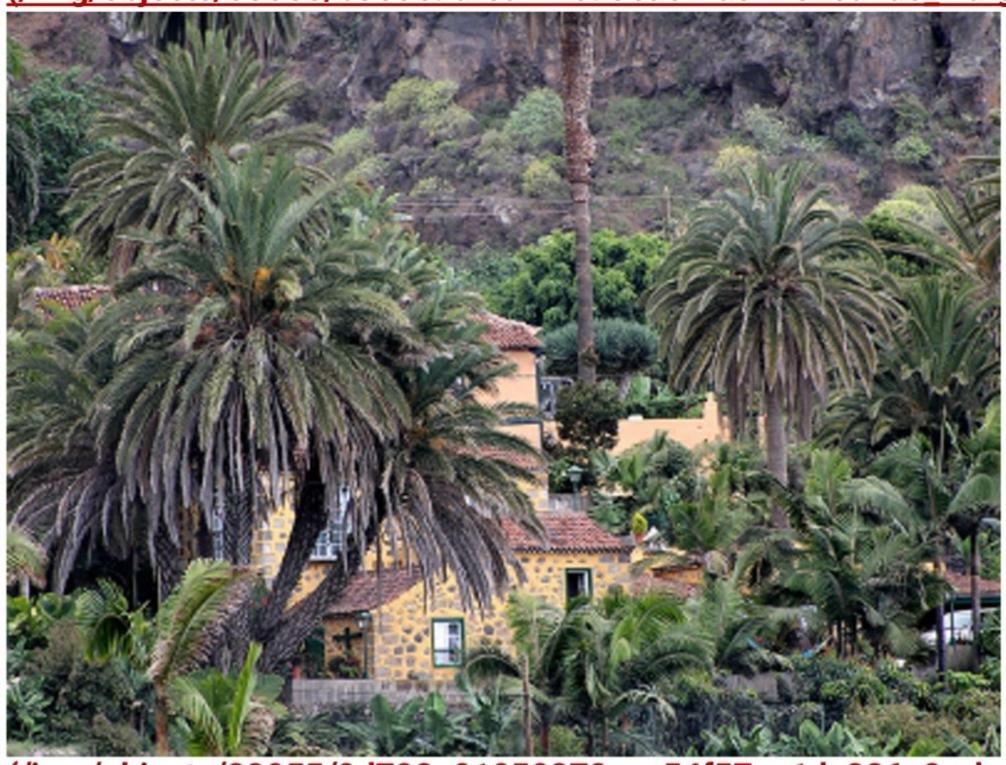 Finca Dona Juana Los Realejos Exterior foto